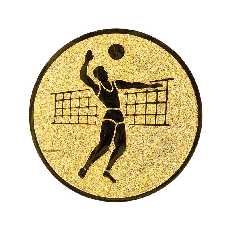 Röplabda (férfi) érembetét