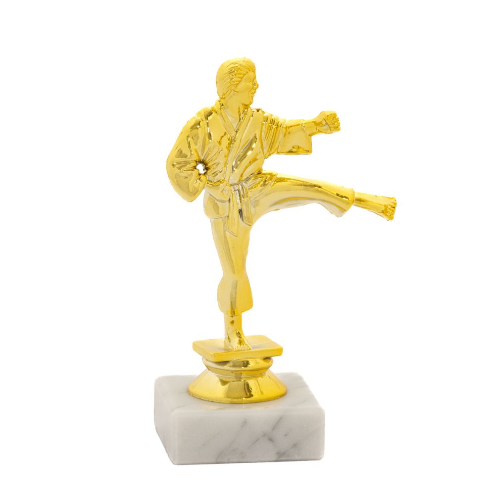 Karate figura