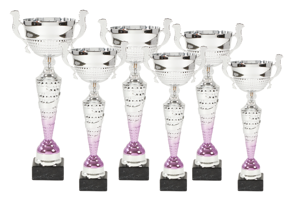 Prémium serleg ezüst