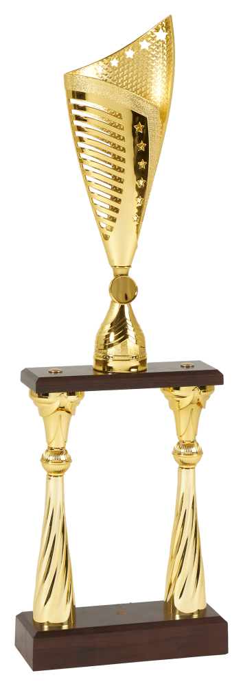 Trófea arany