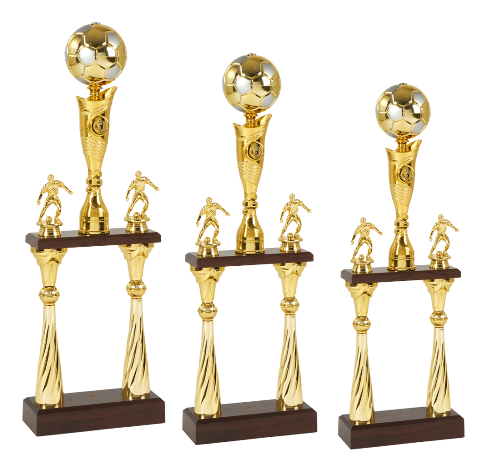 Labdarúgó serleg arany