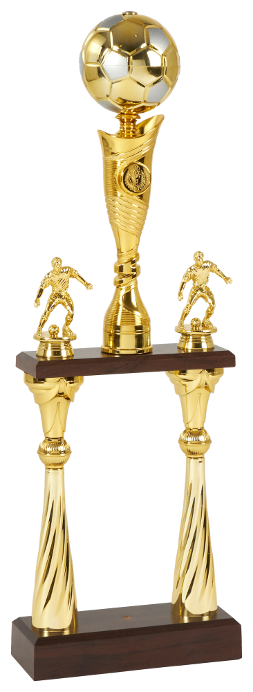 Labdarúgó serleg arany