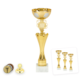 Labdarúgó serleg arany