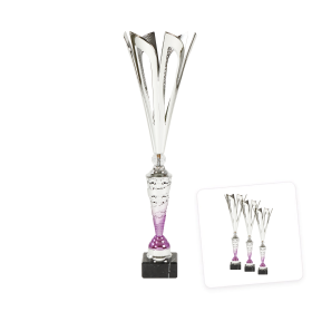 Középkategóriás serleg ezüst