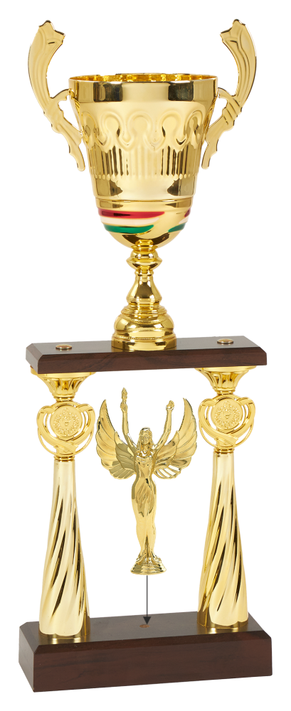 Nemzeti serleg arany